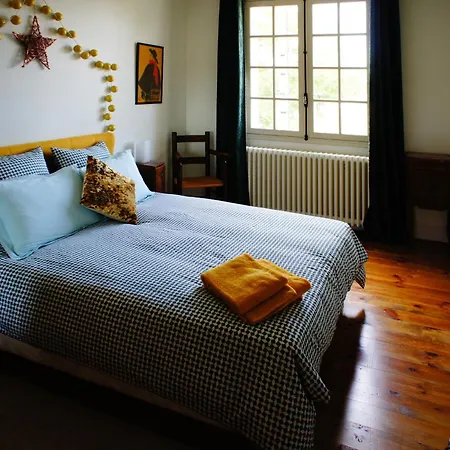 La Maison Verte Albi-3